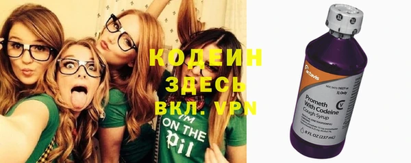 дмт Елабуга