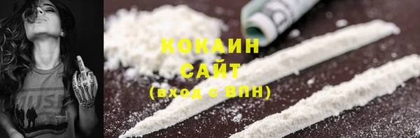 спайс Арсеньев