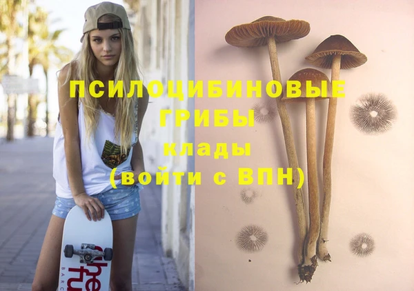 PSILOCYBIN Армянск