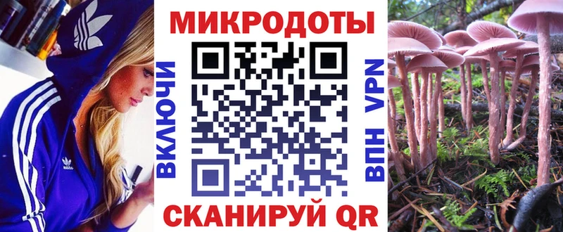 Галлюциногенные грибы мицелий  купить закладку  Боровичи 